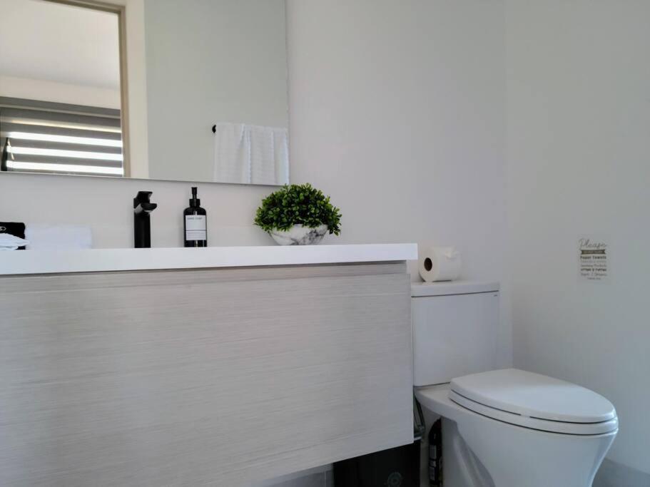 Endless Summer - 2bed 2bath - Seasonly Heated Pool With Ocean Views - 5min Walk To - Fibre Internet - Sleeps 6